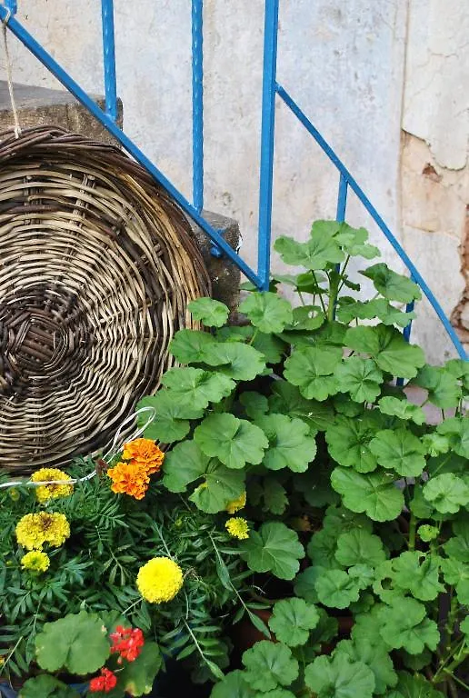 Florina Otel Ayvalı Konukevi