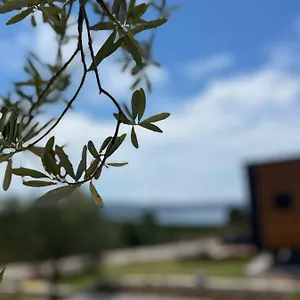 Zu Urla