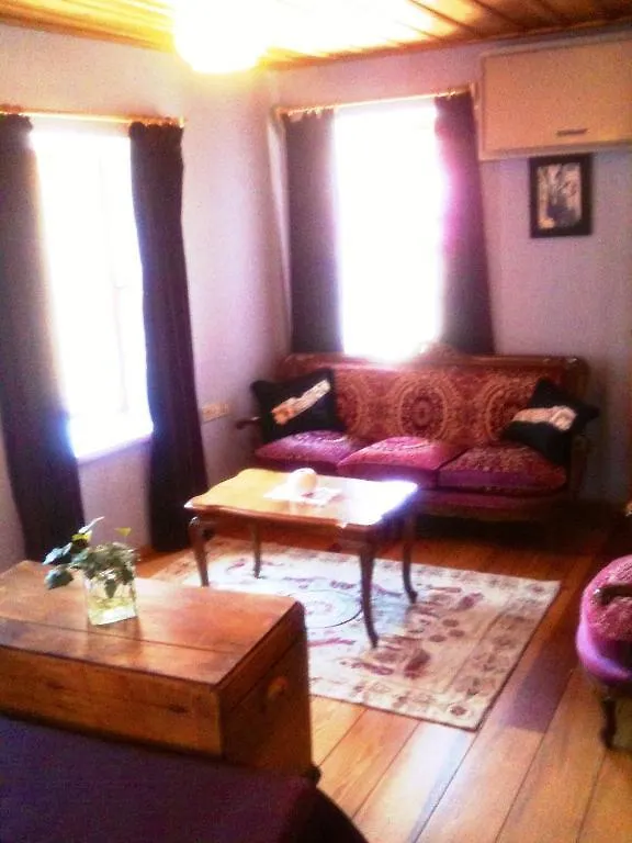 Penzion Hotel Florina Ayvalı